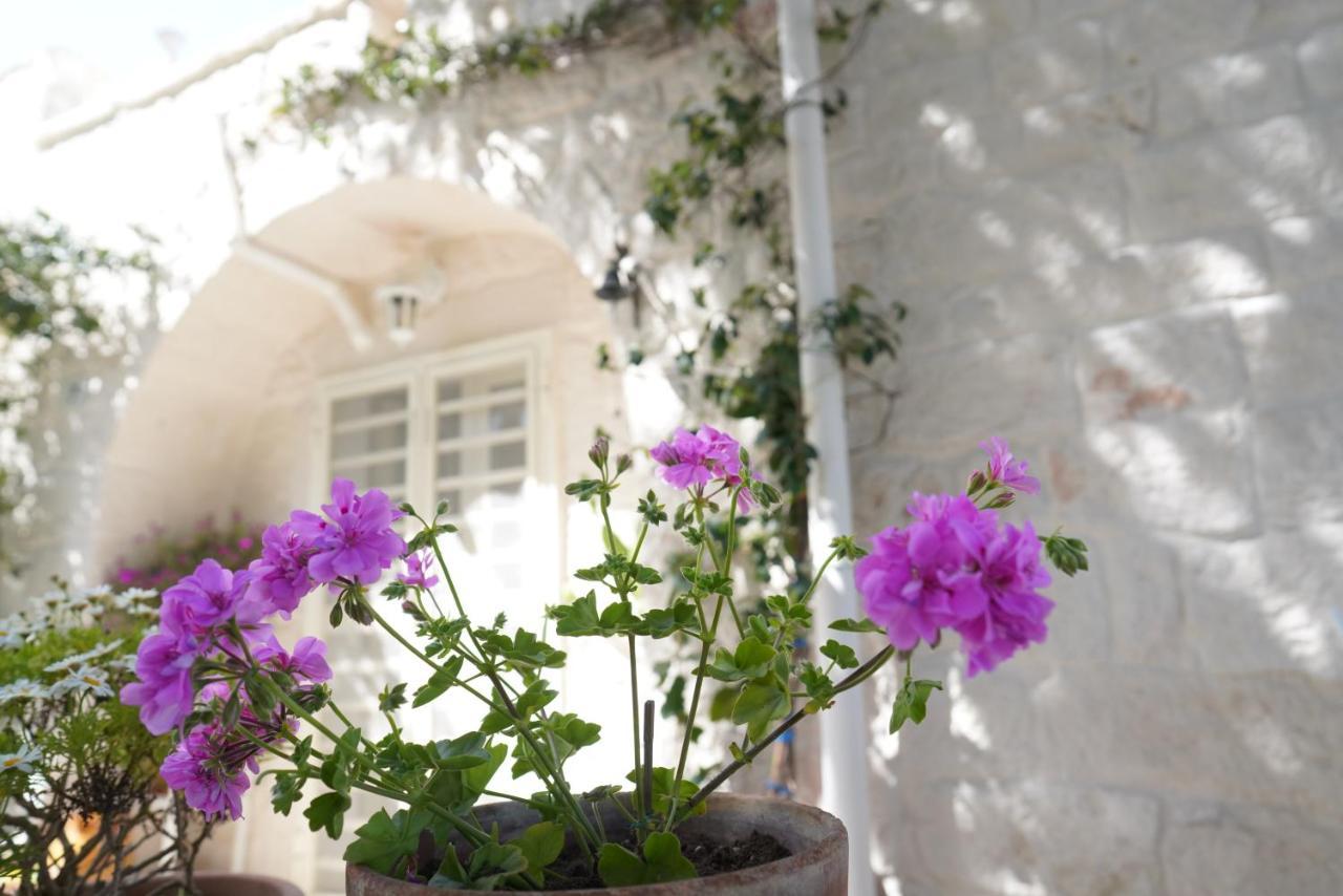 Trulli Di Puglia - Casa Vacanze In Valle D'Itria Martina Franca Luaran gambar