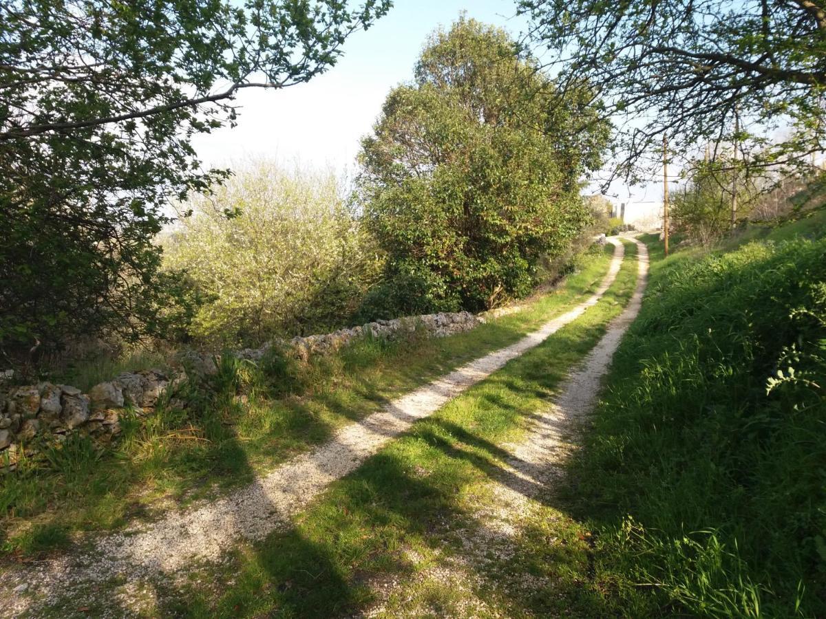 Trulli Di Puglia - Casa Vacanze In Valle D'Itria Martina Franca Luaran gambar