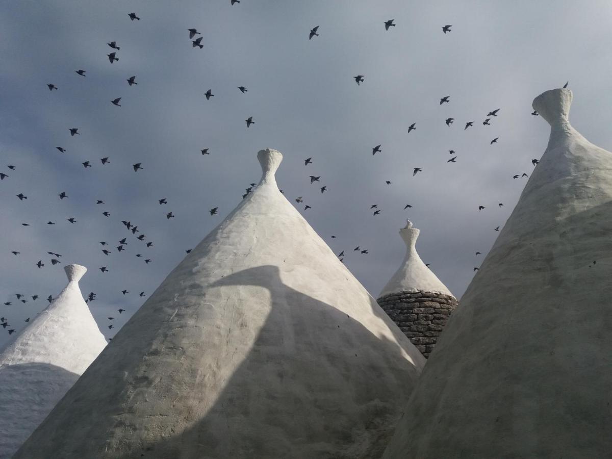 Trulli Di Puglia - Casa Vacanze In Valle D'Itria Martina Franca Luaran gambar