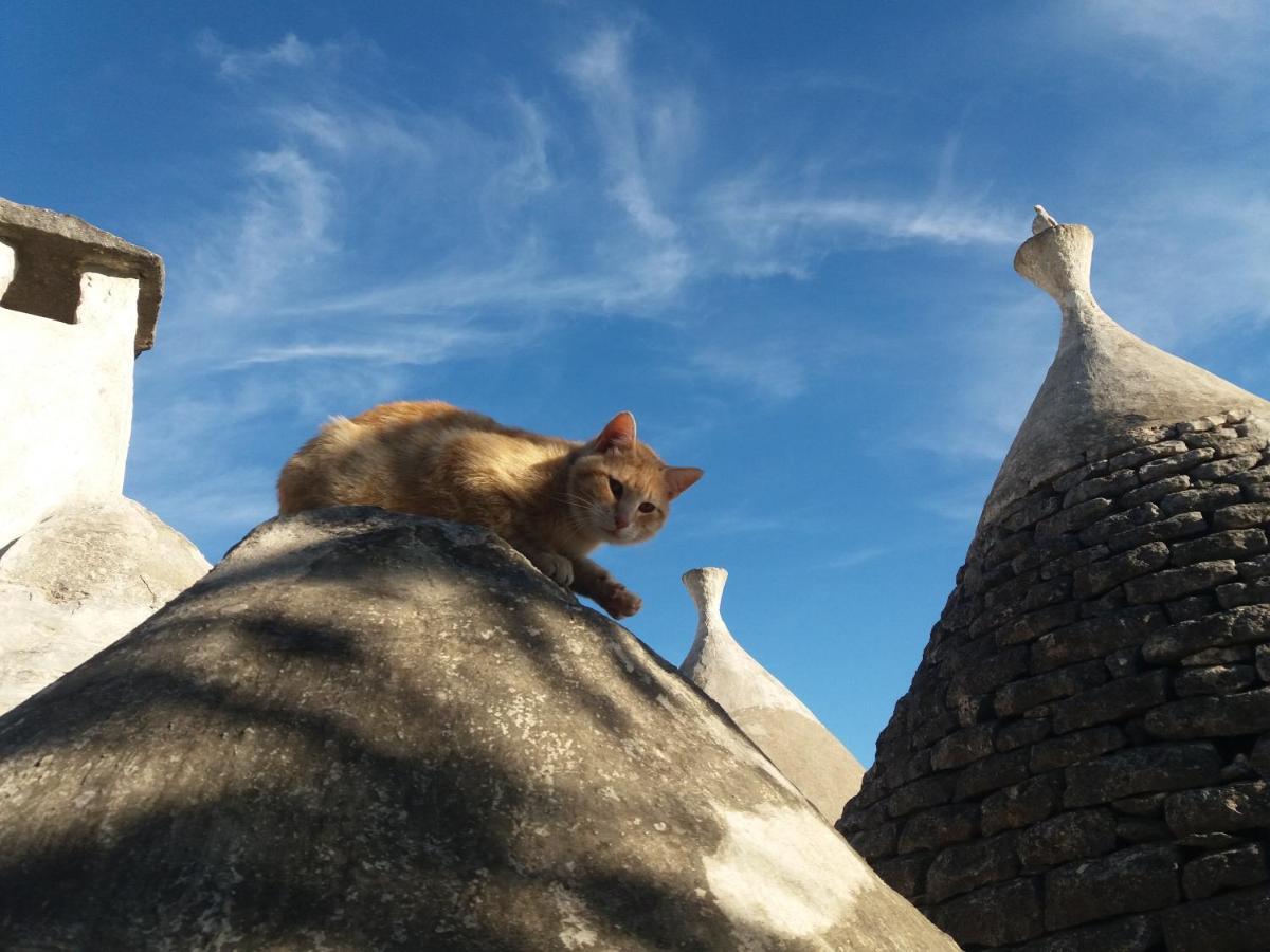 Trulli Di Puglia - Casa Vacanze In Valle D'Itria Martina Franca Luaran gambar