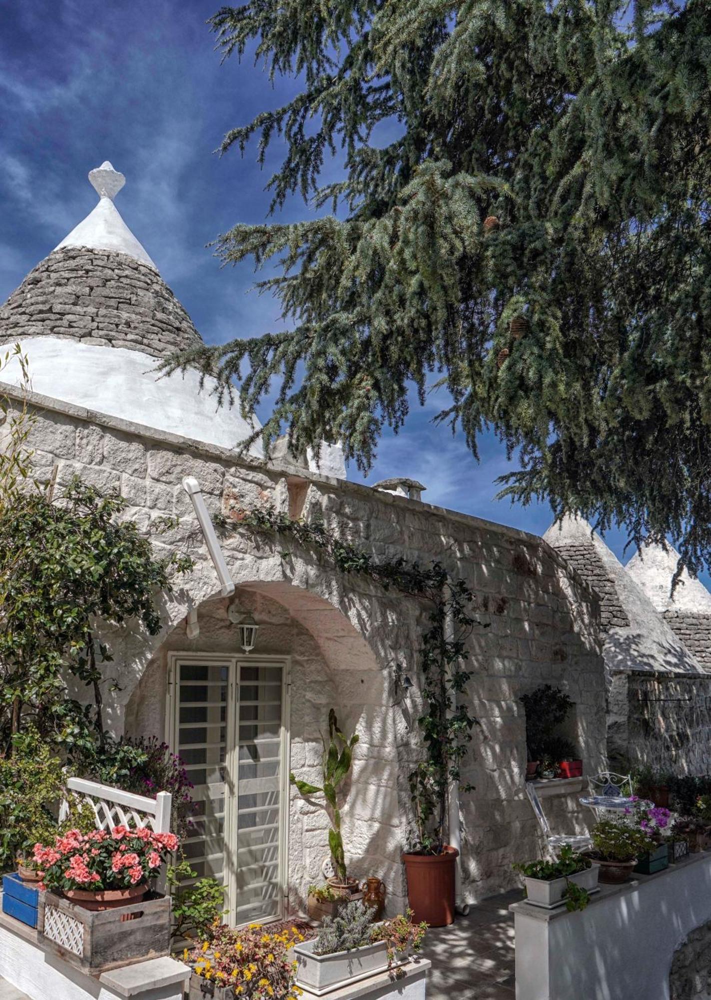Trulli Di Puglia - Casa Vacanze In Valle D'Itria Martina Franca Luaran gambar